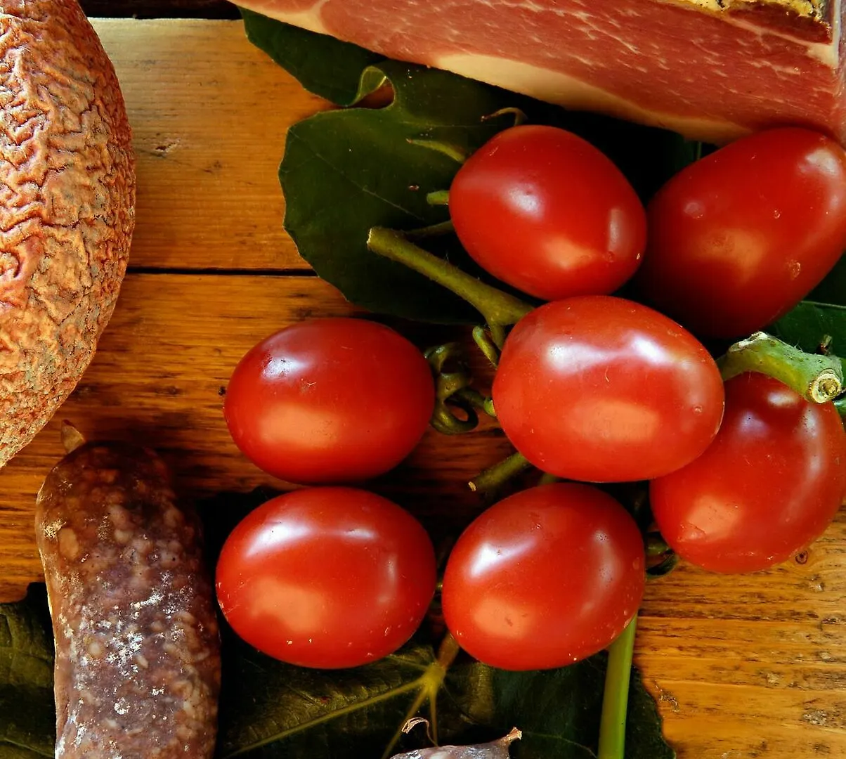 Agrisalotto Villa Cortona Farm stay